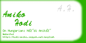 aniko hodi business card